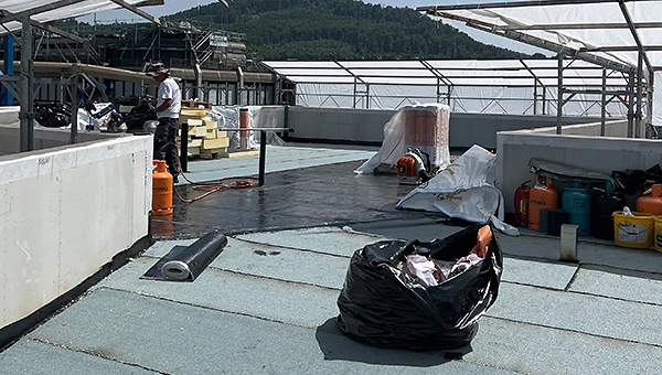 R01 Dach 2025 06 224